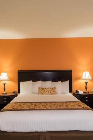 Oakland Airport Executive Hotel Room photo